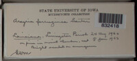 Image Associated With the Occurence